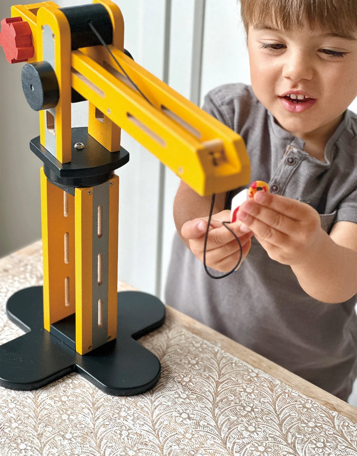 Big Yellow Crane - Image 3