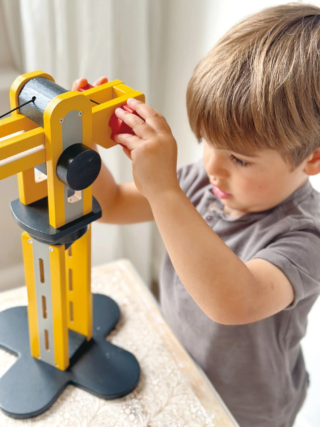 Big Yellow Crane - Image 4