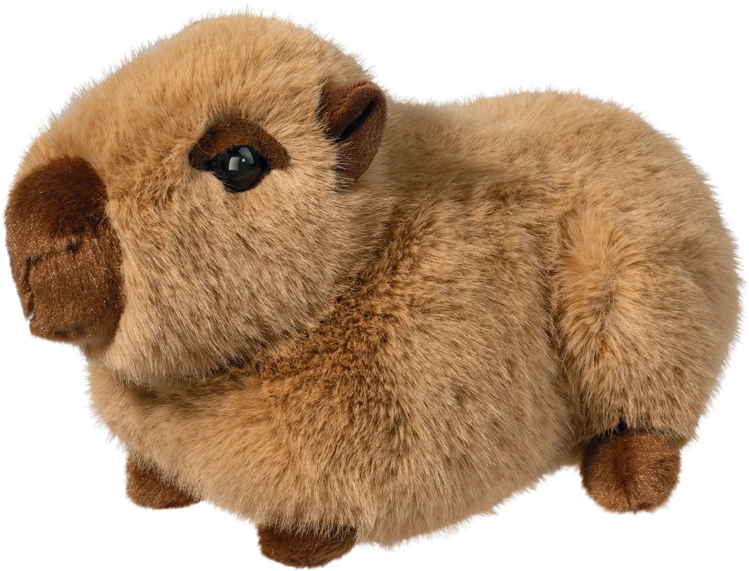 Chattie Capybara Soft 10"