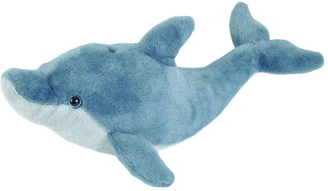 Dolphin 15"
