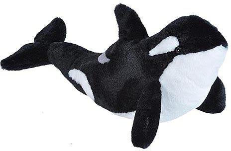 Orca 15"