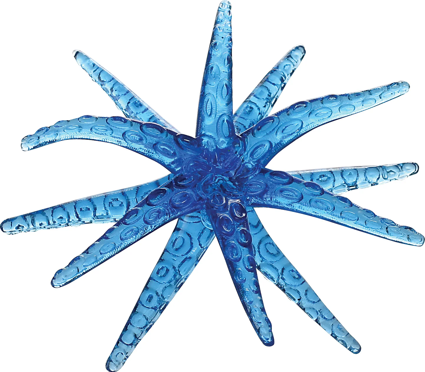 Sticky Starfish - Image 3