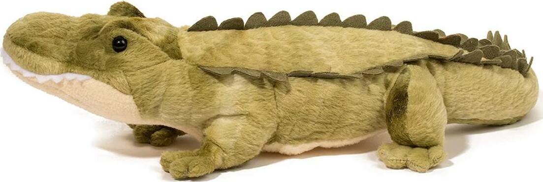 Stream Line Alligator 15" - Image 5