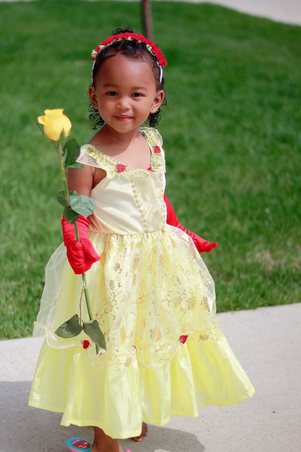 Yellow Beauty - Small - Image 2