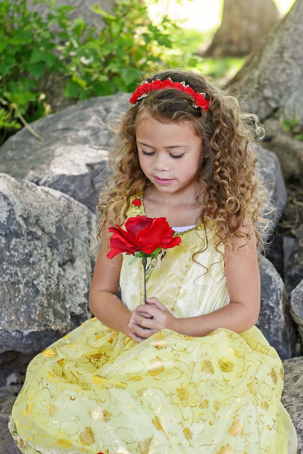 Yellow Beauty - Small - Image 4
