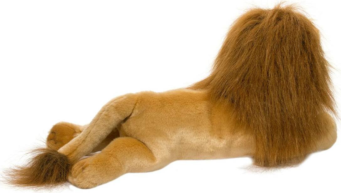 Zeus Lion 22" - Image 4